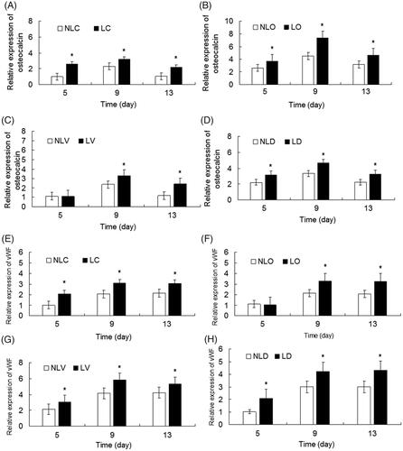 Figure 8. The relative expression levels of osteocalcin and vWF in BMSCs of each group were detected by quantitative real-time PCR and compared. A–D show, respectively the relative expression levels of osteocalcin in the NLC and LC groups, NLO and LO groups, NLV and LV groups and NLD and LD groups. E–H show respectively the relative expression levels of vWF in the NLC and LC groups, NLO and LO groups, NLV and LV groups and NLD and LD groups. LIPUS groups (LC, LO, LV, and LD groups) vs. non-LIPUS groups (NLC, NLO, NLV, and NLD groups), *p < .05.