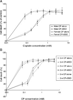 Figure 1 Effects of BSO on CP-cytotoxicity in primary culture of RTEC from different sex (A) and age (B) rats. Cells were seeded into 96-well plates at 2 × 104cell/well. After monolayers were formed, a series of CP were added. BSO(40 µM) was added 16 hours prior to CP. At 24 h after addition of CP, MTT assays were performed to evaluate cytotoxicity. Means ± SEM, n = 5. CP: cisplatin, BSO: DL-buthionine-(S,R)-sulfoximine, RTEC: renal tubular epithelial cells.