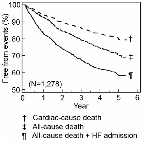 Figure 2 Prognosis of the Japanese patients with CHF in the CHART-1 study. Copyright © 2004. Reproduced with permission from CitationShiba N, Watanabe J, Shinozaki T, et al. 2004. Analysis of chronic heart failure registry in the Tohoku district: third year follow-up. Circ J, 68:427–34.