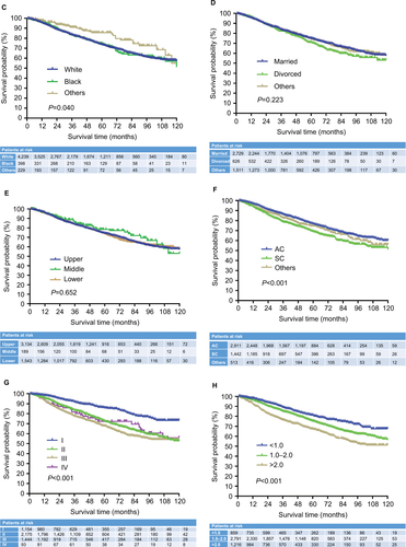 Figure S2 Lung cancer-specific Kaplan–Meier survival curves for patients according to (A) sex, (B) age, (C) race, (D) marital status, (E) lobe, (F) pathology, (G) differentiation, (H) tumor size, and (I) surgery.Abbreviations: AC, adenocarcinoma; SC, squamous cell carcinoma.