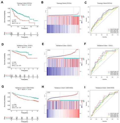 Figure 2 K-M curve analysis, risk score distribution and time-dependent ROC curve analysis of the prognostic model in the HCC cohorts from TCGA (A–C), ICGC (D–F) and GSE14520 (G–I). (A, D and G) Shorter survival times were presented in the high-risk group than in the low-risk group (P<0.01). (B, E and H) Distribution of prognostic risk scores based on the expression levels of the exosome-derived genes. (C, F and I) Time-dependent ROC curves of the prognostic model.