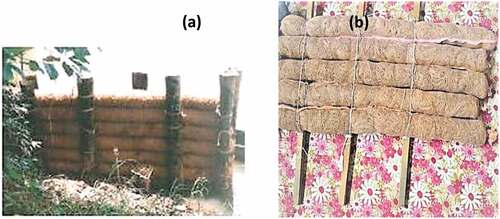 Figure 1. Cocolog used as g roynes (a) Prototype (b) Model.