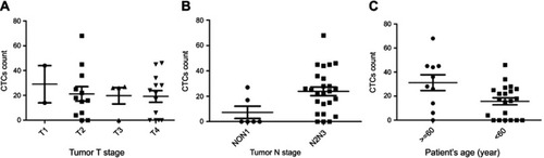 Figure 2 CTCs were related to patient age and lymph node metastasis. (A) More CTCs were found in patients at T1 and T2 stage than those at T3 and T4 stage. (B) More CTCs were found in patients at advanced nodal stage (P=0.0287, N2N3). (C) More CTCs were found in patients >60 years old (P=0.037).Abbrevaition: CTCs, circulating stem cells.