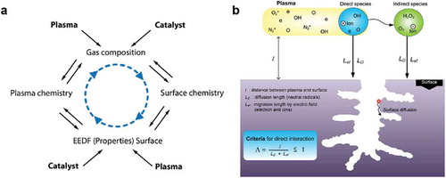 Figure 15. (a) Visualization of the continuous influence of plasma and catalyst on the gas conversion process [Citation192]. (b) Criteria for direct interaction between plasma and catalyst ([Citation193], reproduced by permission of Elsevier).