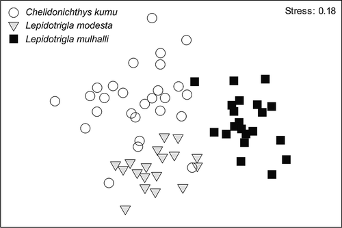FIGURE 5. Nonmetric multidimensional scaling ordination of the dietary composition constructed from Bray–Curtis similarity matrices that employed the overall volumetric diet contributions for the three study species (Red Gurnard Chelidonichthys kumu, Grooved Gurnard Lepidotrigla modesta, and Roundsnout Gurnard L. mulhalli) in northeastern Tasmanian waters. Each point represents the mean volumetric data of three to five randomly selected individuals from each species.