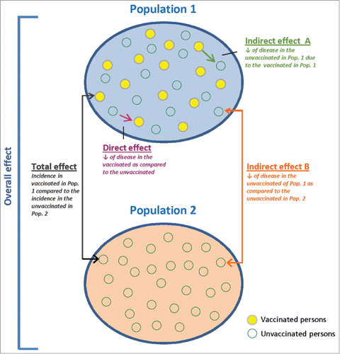 Figure 5. Stylized diagram for evaluating the effects of vaccination.