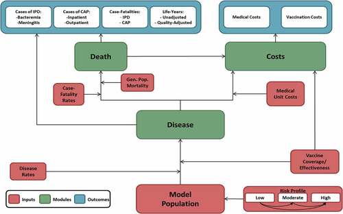 Figure 1. Model schematic.