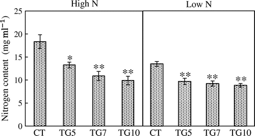 Figure 8. Nitrogen contents of control (CT) and transgenic (TG5, TG7, and TG10) lines remained in the culture solution after 4 h high and low N treatment at the seedling stage. Data represent the mean values ± SE (n = 5). Statistical analysis of the data was performed by one-way ANOVA. Asterisks indicate that the mean values of TG5, TG7 and TG10 lines are significantly different from that of CT at p < 0.05 (*) and p < 0.01 (**).