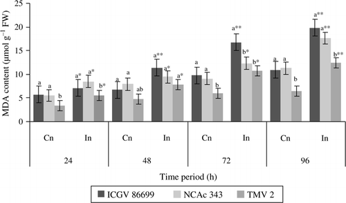 Figure 5.  MDA content (µmol g–1 FW) of groundnut genotypes after H. armigera infestation. Note: *Bars indicate the levels of statistical significance between control and infested plants within a germplasm at each time interval. *, **, ***=significance at P≤0.05, P≤0.01, and P≤0.001, respectively, by students t-test. Bars with the same letter (s) in a treatment within a time interval are not significantly different at P≤0.05. Values (Mean±SEM), FW, fresh weight of leaf tissue; Cn, control plants; In, plants infested with H. armigera; n, 10 for each genotype.