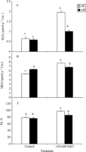 Figure 1.  Changes in H2O2 content (A), lipid peroxidation (B) and percentage of electrolyte leakage (C) in Azolla plants exposed to 50 mM NaCl for 10 days in absence of nitrate (−N) or in its presence (+N). Each value is the mean±S.E. of five replicates. Different letters indicate significant differences (P<0.05) between treatments as evaluated by Duncan's multiple comparison test.