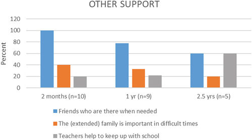 Figure 5. The three categories of support reported by the children during the treatment period.