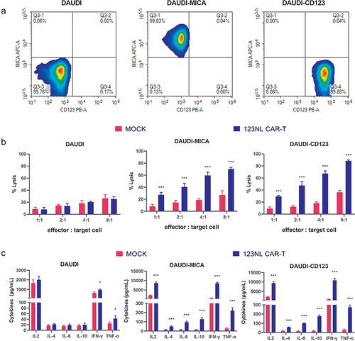 Figure 4. Target specificity analysis of 123NL CAR-T cells. a after staining with anti-MICA and anti-CD123 antibodies, DAUDI-MICA cells and DAUDI-CD123 cells (overexpressing MICA and CD123, respectively) were analyzed by flow cytometry with DAUDI cells as a reference. b 123NL CAR-T cells or uninfected T cells were cocultured with DAUDI, DAUDI-MICA, and DAUDI-CD123 cells at ratios of 1:1, 1:2, 1:4, and 1:8, and cytotoxicity was tested after 24 hours. c after 123NL CAR-T cells or uninfected T cells were cocultured with DAUDI, DAUDI-MICA, and DAUDI-CD123 cells at a ratio of 1:1 for 24 hours, the cytokines IL-2, IL-4, and IL-6 in the supernatant were detected. The levels of IL-6, IL-10, IFN-γ, and TNF-α were also detected. Three independent repeated experiments were performed, and the data are expressed as the mean ± standard deviation; * p < 0.05, ***p < 0.001. MOCK indicates uninfected T cells.