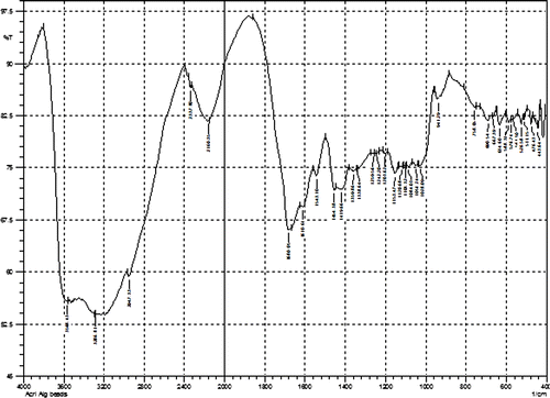 Figure 3. FTIR spectrum of composite beads sample B.
