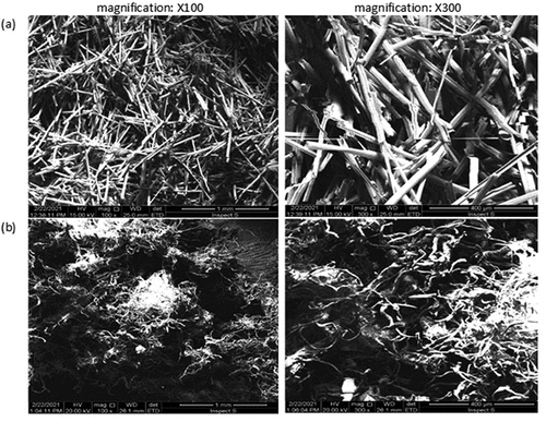 Figure 3. SEM images of (a) raw Calotropis gigantea fiber and (b) treated fiber.