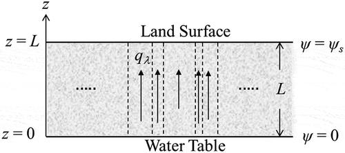 Figure 1. Schematic diagram of steady-state evaporation (upward) and infiltration (downward) in fractal soil domain between the water table and land surface.