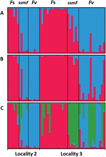 Fig. 12. Results from STRUCTURE (A) and INSTRUCT (B) analyses with K = 2; and from INSTRUCT analysis with K = 3 (C). Localities 2 and 3 consist of individuals sampled as Fucus spiralis (Fs), F. vesiculosus (Fv) and small salt marsh Fucus (ssmF). Each individual is represented by a bar and colours represent the proportional assignment to the STRUCTURE/INSTRUCT groups.