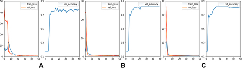 Figure 4 Loss function and test accuracy of different neural network structures. (A–C) denote the loss function and test accuracy of three neural network structures with designed hidden layers of 20–100-200, 100–200-20, and 200–100-20, respectively.