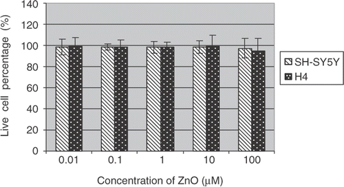 Figure 5. Cytotoxic effects of ZnO nanoparticles on SH-SY5Yand H4 cells.