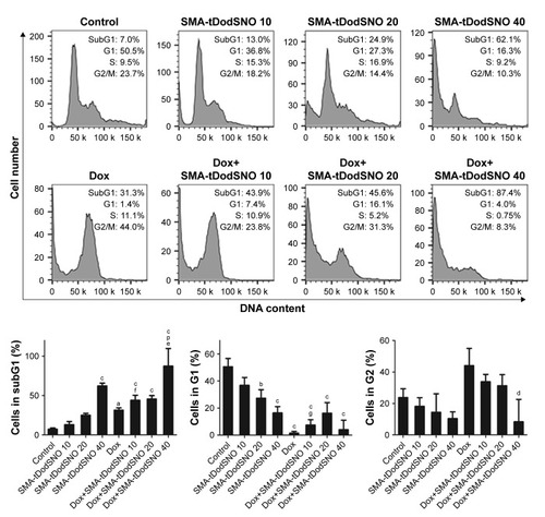 Figure 2 Flow cytometric analysis of cell cycle parameters. 4T1 cells were incubated with Dox (0.1 µM) and/or SMA-tDodSNO (10 or 40 µM) for 48 h.Notes: The treatments caused significant increase of the cell population in subG1 phase. Data are expressed as mean values ± SD (n=3). aP<0.05, bP<0.05, cP<0.001 vs control. dP<0.05, pP<0.001 vs Dox, and eP<0.05, fP<0.01, gP<0.001 vs respective SMA-tDodSNO group.Abbreviations: Dox, doxorubicin; SMA, polystyrene-maleic acid; tDodSNO, tert-dodecane S-nitrosothiol.