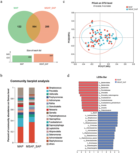 Figure 4. Differences in oral microbiota between MAP and MSAP_SAP groups. (a) venn diagram reflecting the similarity and repeatability of species composition between two groups. (b) average composition of bacterial community at the genus levels. (c) beta diversity analysis based on the PCoA plot. (d) microbes with differential abundance (LDA score＞3.5) were plotted as a histogram. LDA score histogram showing the oral microbiome with significant differences between the two groups.