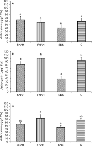 FIGURE 2 Anthocyanin concentration ± SE (μg g−1 fresh weight) of the fruit skin of cv ‘Royal Gala’ apple trees under different fertilization treatments. (A) 2006/2007 season; (B) 2007/2008 season; (C) 2008/2009 season. SNAH: soil N application after harvest; FNAH: foliar N application after harvest; SNS: soil N application in spring; C: control (no N applied). Different letters indicate significant differences (p < 0.05).