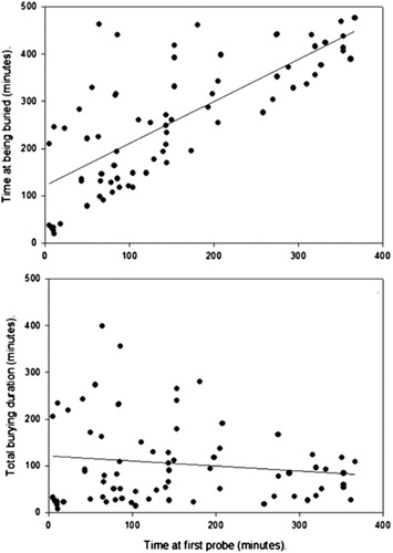 Figure 2. Scatterplots showing correlations between (top) time at being buried and time at first probing and (bottom) total burying duration and time at first probing.