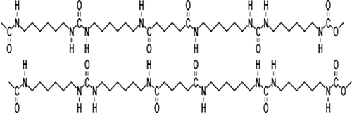 Figure 5. Schematic diagram of the hydrogen bonding interaction in 6A6 HS.