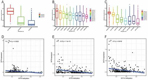 Figure 4. Correlation between the expressions of SYT family members and their methylation levels in GC. A, The distribution of SYT4 DNA promoter CpG sites. B, The distribution of SYT9 DNA promoter CpG sites. C, The distribution of SYT14 DNA promoter CpG sites. D, The expression of SYT4 at the mRNA level was negatively correlated with its methylation level. E, The expression of SYT9 at the mRNA level was negatively correlated with its methylation level. F, The expression of SYT14 at the mRNA level was negatively correlated with its methylation level