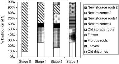 Figure 1  Distribution of nitrogen (N) among organs at different stages of growth.