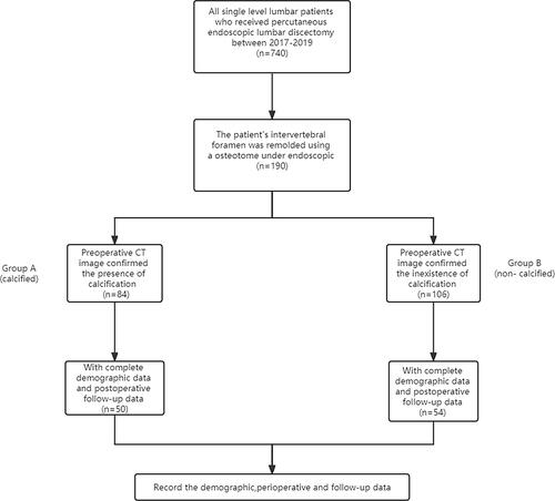 Figure 1 Flow chart of the study.