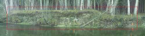 Figure 2. A panoramic photo taken along Whiteman Creek with the Leica Multistation MS50. The red outline indicates the extent of the scanned streambank. The orange stakes on the streambank were used as ground control points for the UAV survey and for manual transect measurements. Additional stakes were placed closer to the stream to aid in manual measurements.