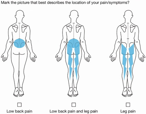 Figure 4. Entry question regarding pain location.