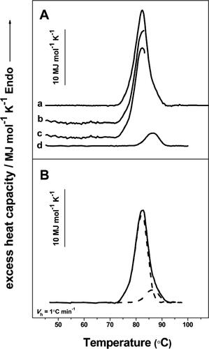 Figure 6. Successive annealing of HlH. (A) Example of the successive аnnealing process. Complete calorimetric scan of HlH in Tris-HCl buffer (pH 7.2), at a heating rate of 1.0 °C min−1 (line a). The first scan of a new sample with the same composition stopped at 83 °C (line b); result of subtracting the following (second scan) DSC curve from the first one (line c); the second calorimetric scan stopped at 96 °C (line d). (B) Result of the deconvolution of the experimental contour (solid line), which provides two individual components (dashed lines).