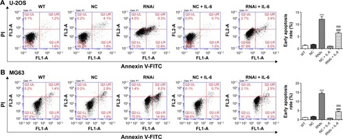 Figure 4 IL-6 exposure attenuated the induction effects of SOX18 knockdown on osteosarcoma cell apoptosis.