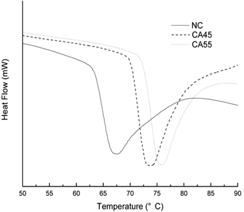 FIGURE 1 DSC thermograms of native corn starch (NC) and corn starches annealed for 72 h at 45°C (CA45) and at 55°C (CA55).