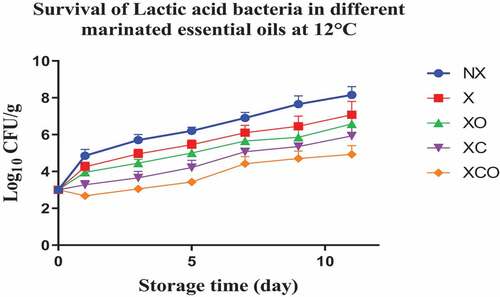 Figure 6. Population increase of Lactic acid bacteria (log10 CFU/g ± SEM) in different marinated essential oils samples after storage for 0, 1, 3, 5, 7, 9, and 11 days at 12°C. NX-Non marinated, X- Marinated, XO- Marinated +Oregano oil, XC- Marinated +Citrox, XCO- Marinated + Citrox+ Oregano oil.