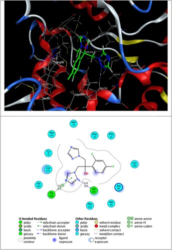 Figure 10. 3D plot of self-docking of fluconazole (TPF) in Mycobacterium tuberculosis-CYP51 (1EA1) target enzyme (top), along with possible interactions (bottom).