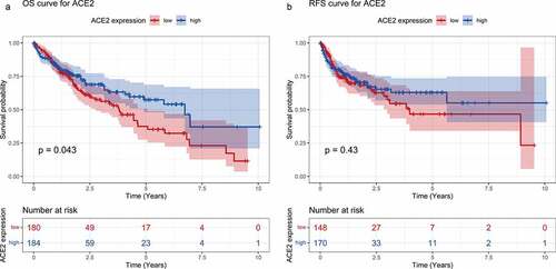 Figure 5. Survival curves for high- and low-ACE2 expression based of the dataset from The Cancer Genome Atlas. Panel a: overall survival (OS) curve of hepatocellular carcinoma patients. Panel b: recurrence-free survival (RFS) curve of hepatocellular carcinoma patients