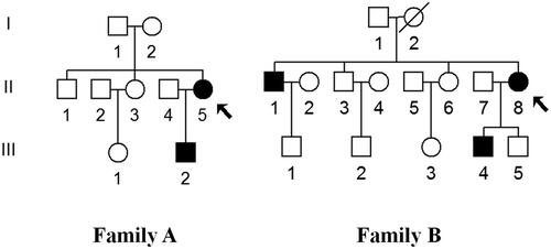 Figure 1. Two families with T2DM, affected individuals are indicated by filled symbols, arrows indicate the probands.