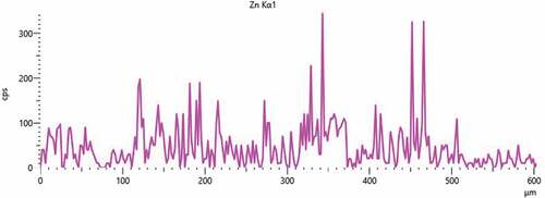 Figure 6. Zinc content and distribution in the embedded thin film.