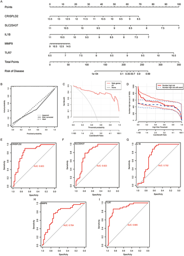 Figure 5 Construction of DE-NRGs related Nomogram to assess clinical value. (A) Nomogram demonstrates the prognostic value of CRISPLD2, IL1B, SLC25A37, MMP9, and TLR7 for OA patients. (B) Calibration curves to assess the degree of similarity between the predicted and true results of DE-NRGs related Nomogram. (C) Decision Curve Analysis to evaluate the sensitivity and specificity of the DE-NRGs related Nomogram. (D) Clinical impact curve to assess the clinical impact of the DE-NRGs related Nomogram at different thresholds. (E–I) ROC analysis results on CRISPLD2, IL1B, SLC25A37, MMP9 and TLR7.