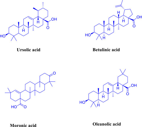 Figure 1 Some triterpenes with potential biological activity as an anti-inflammatory agent.