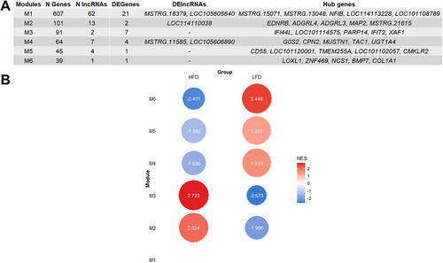 Figure 5. Summary of the results from CEMiTool co-expression network analysis. (A) Table showing the number of protein coding genes (N PGenes), lncRNAs (N lncRNAs), differential expressed Protein-coding genes (DEPgenes) and DElncRNAs detected and the hub genes for each module. (B) Gene set enrichment analysis (GSEA) for each module of co-expressed genes. Circles represent the normalized enrichment score (NES) obtained for each module in each group, High fat deposition (HFD) and low fat deposition (LFD). For Module 1 no significant NES differences between groups were found.