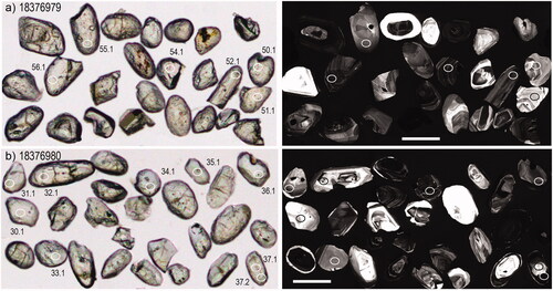 Figure 6. Representative zircon from Ooloo Hill Formation sedimentary rocks representing (a) 1837679; and (b) 1837680 in transmitted light (left) and CL (right). The grains are rounded with pitted surfaces from sedimentary abrasion. White scale bars represent 100 mm.