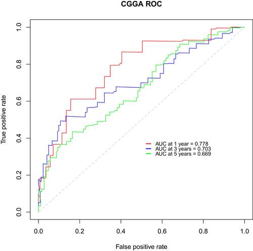Figure 6 ROC of the five-gene signature for predicting the 1-, 3- and 5-year survival of 157 patients with lower-grade gliomas in CGGA database.