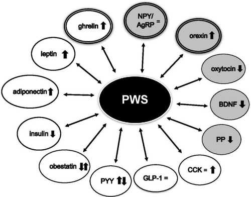 Figure 1 Circulating levels of orexigenic and anorexigenic hormones in PWS.