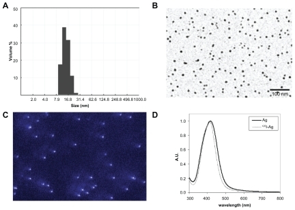 Figure 1 Characterization of synthesized silver nanoparticles (Ag NPs). A) Size distribution profile of 125I-Ag NPs as analyzed by photon correlation spectroscopy. B) Transmission electron microscopy (TEM) of 125I-Ag NPs. C) Light scattering as observed under a dark field real-time microscope (RTM). D) Absorption spectroscopy comparing Ag NPs and 125I-Ag NPs showed that the characteristic plasmon band for Ag NPs was not significantly altered after radiolabeling.