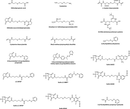 Figure 3 Chemical structures of disulfide-containing redox-sensitive linkers.Abbreviations: SAND, sulfosuccinimidyl 2-(m-azido-o-nitrobenzamido)-ethyl-1,3′-dithio propionate; SAED, sulfosuccinimidyl-2-(7-amino-4-methylcoumarin-3-acetamido)-ethyl-1,3-dithiopropionate; LC-SPDP, succinimidyl 6-(3(2-pyridyldithio)propionamido)hexanoate; LC-SMPT, 4-succinimidyloxycarbonyl-α-methyl-α(2-pyridyldithio)toluene; SFAD, sulfosuccinimidyl-(perfluoroazidobenzamido)-ethyl-1,3′-dithiopropionate.