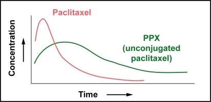 Figure 3B Schematic representation of the plasma pharmacokinetics of paclitaxel vs PPX (unconjugated paclitaxel). Total systemic exposure to PPX (unconjugated of PPX (unconjugated paclitaxel) and standard paclitaxel are similar; however, Cmax paclitaxel) is lower than equivalent doses of standard paclitaxel.