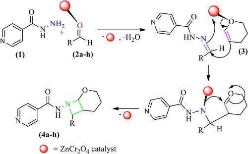 Scheme 3. Plausible reaction mechanism for of N-(7-R)-2-oxa-8-azabicyclo[4.2.0]octan-8-yl)isonicotinamide derivatives (4a-h)
